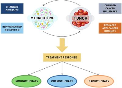 Pharmacomicrobiomics in precision cancer therapy: bench to bedside